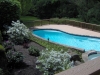 Custom Pool Patio and Lanscaping- Amazing Deck